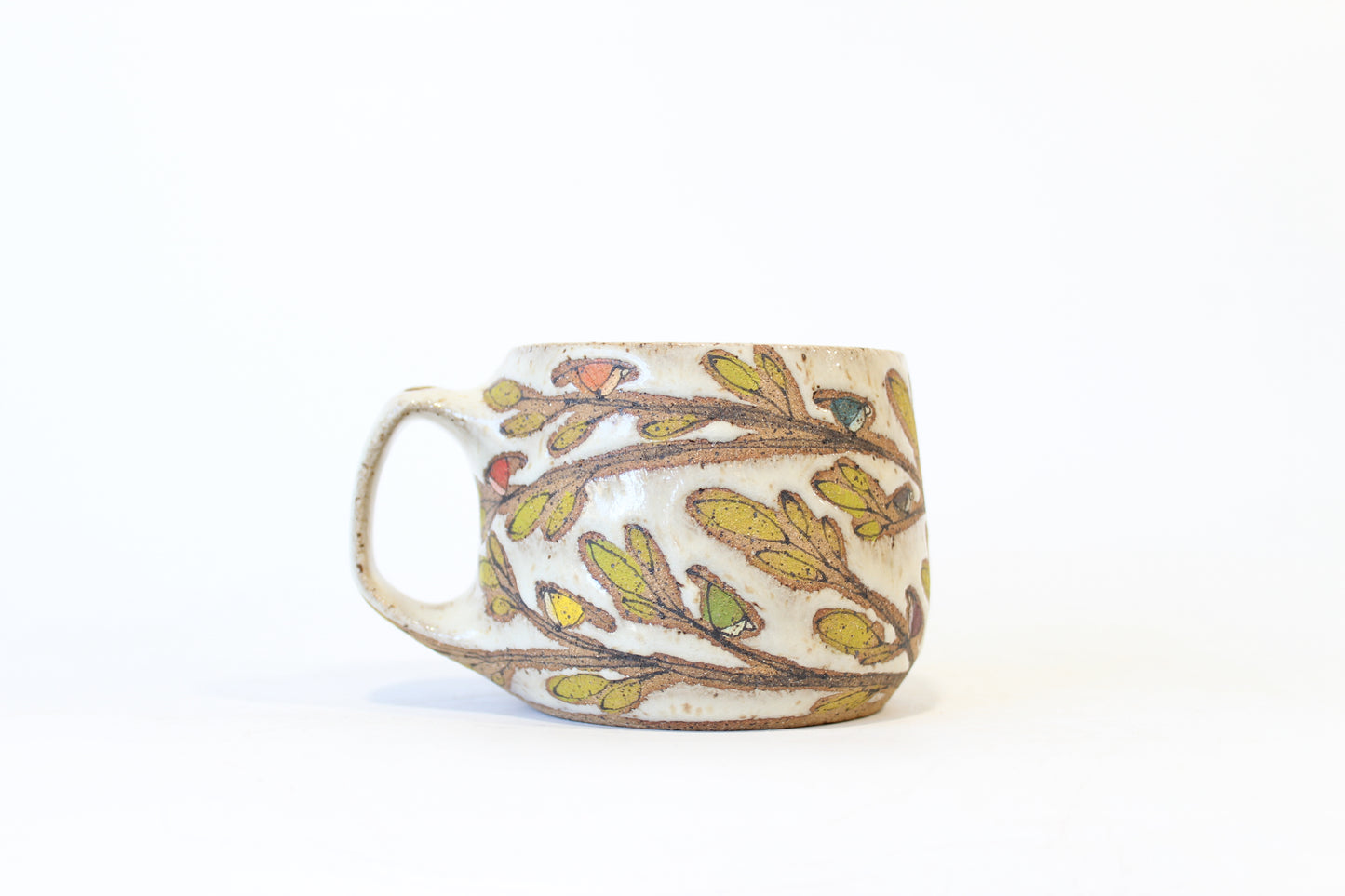 009. Tiny Rainbow Birds Mug - 12oz.