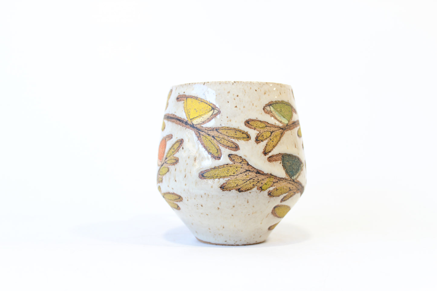 011. Big Rainbow Birds Mug - 18oz.