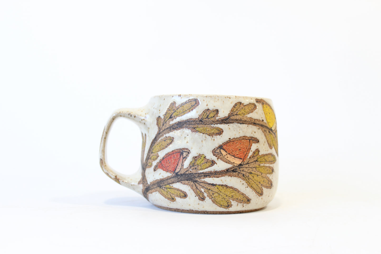 012. Big Rainbow Birds Mug - 13oz.