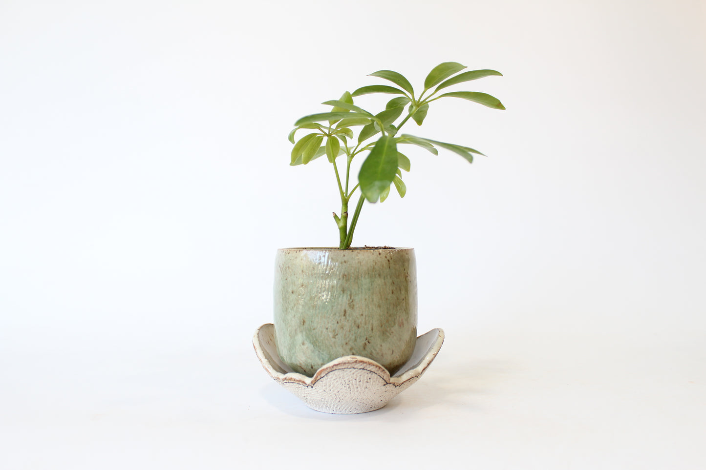 045. Textured Cloud Planter with Tray - small pot - 3.5''h x 4.5''w