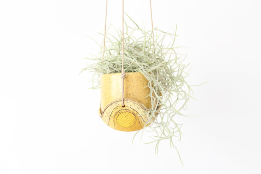 051. Textured Yellow Wave with Circles Planter - small pot - 3.5''h x 4''w