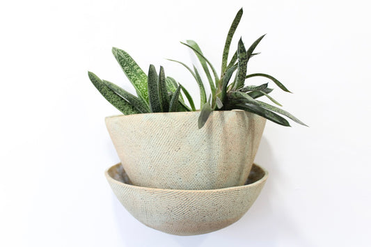 PRE-SALE Teal Textured Wall Planter. Speckled Clay - APPROXIMATE Full Dimensions 5"x 7" x 4 1/2" - ships in 4-8 weeks