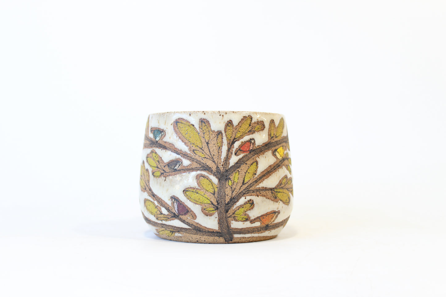 009. Tiny Rainbow Birds Mug - 12oz.