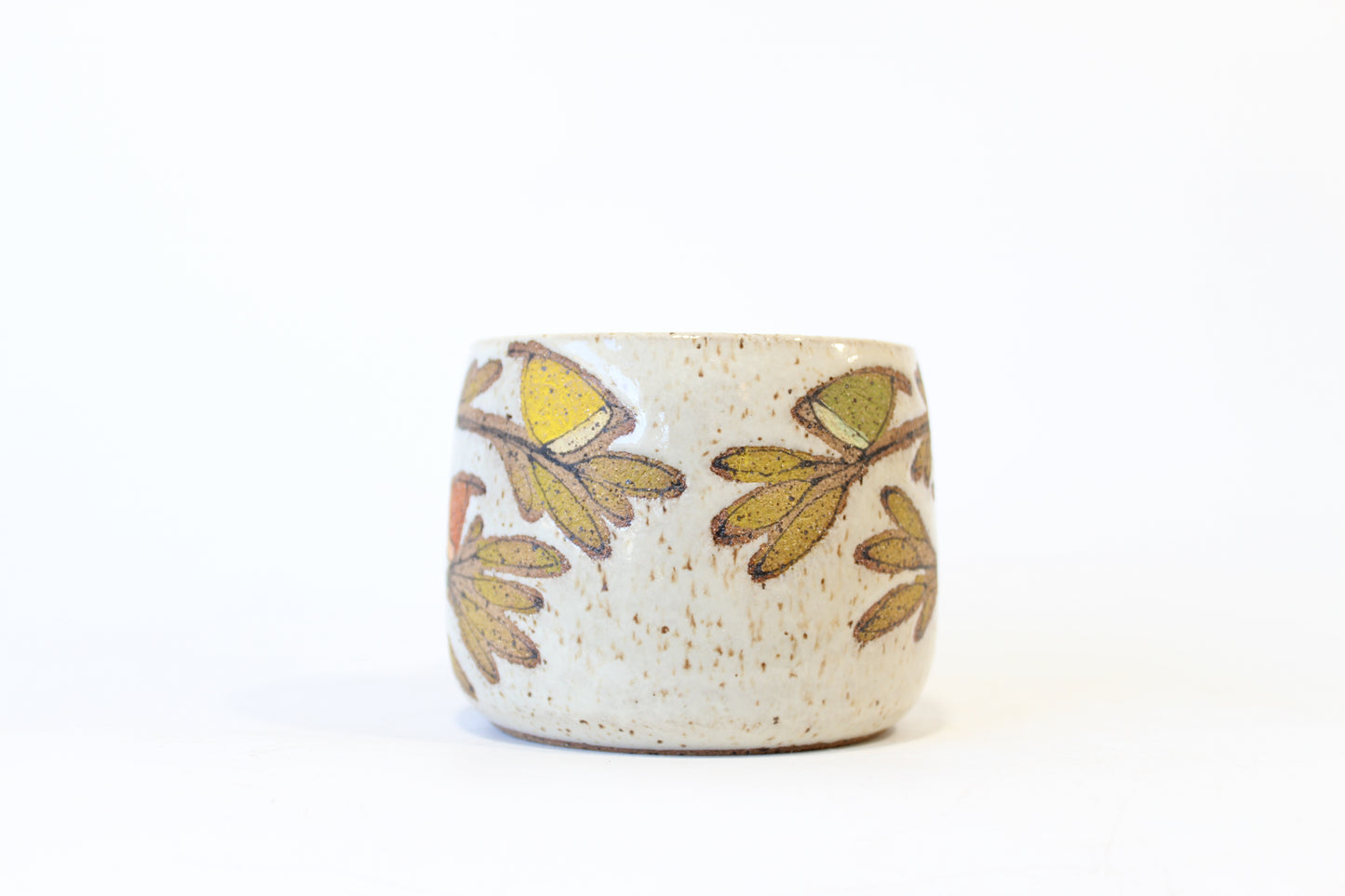 012. Big Rainbow Birds Mug - 13oz.