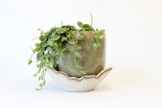 042. Textured Cloud Planter with Tray - medium pot- 4.75''h x 5.5''w