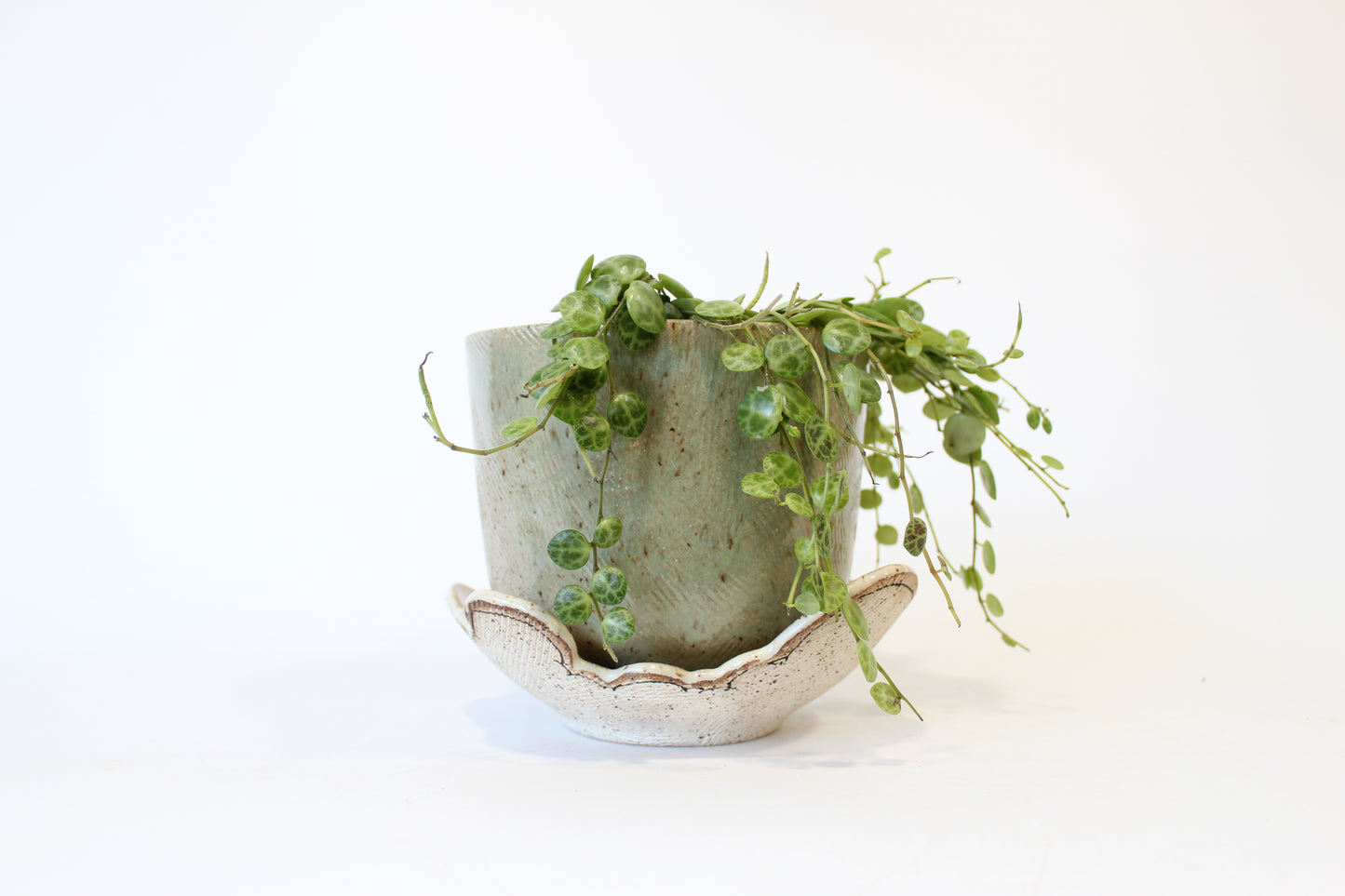 043. Textured Cloud Planter with Tray- medium pot - 5''h x 6''w