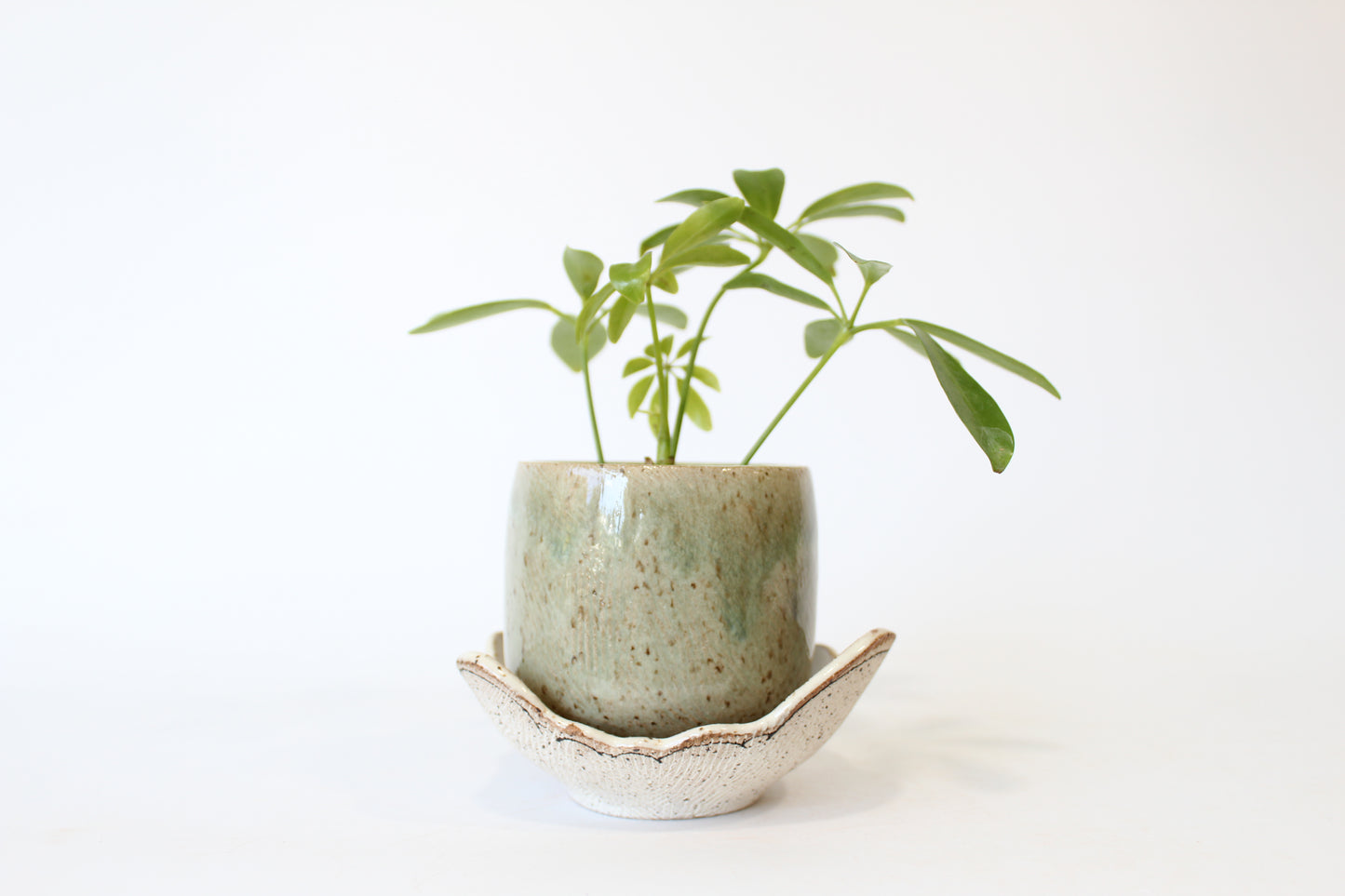 046. Textured Cloud Planter with Tray - small pot - 3.5''h x 4.5''w