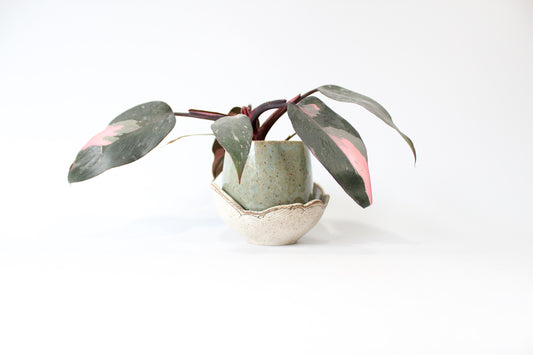 000. Turquoise or Yellow Textured Cloud Planter with Tray approx. 4''h x 4''w - SMALL Size Pot
