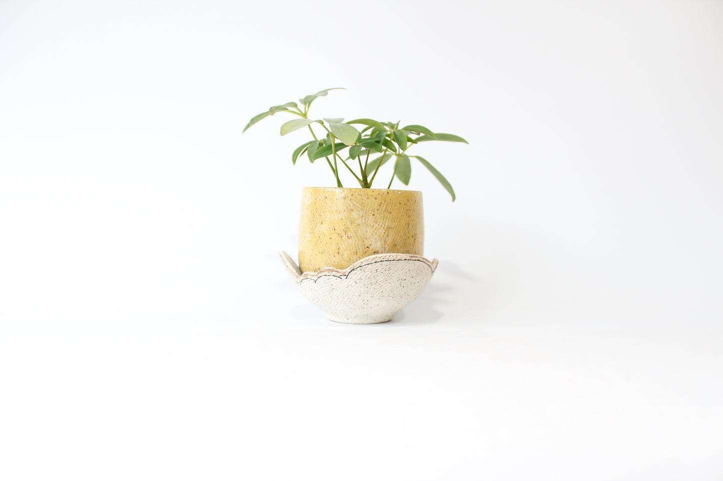 000. Turquoise or Yellow Textured Cloud Planter with Tray approx. 4''h x 4''w - SMALL Size Pot
