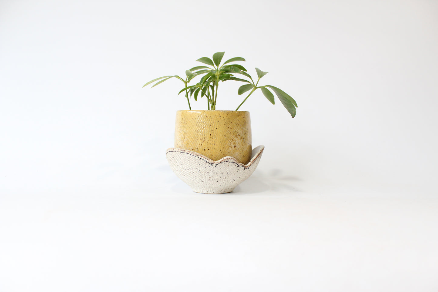000. Turquoise or Yellow Textured Cloud Planter with Tray approx. 4''h x 4''w - SMALL Size Pot